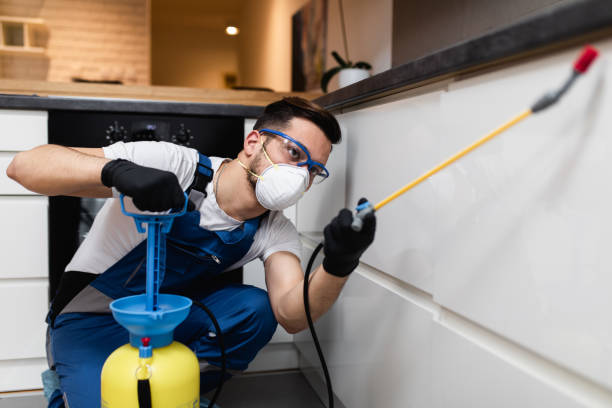 Best Residential Pest Control  in Bayport, MN