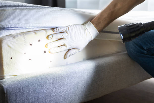 Professional Pest Control in Bayport, MN
